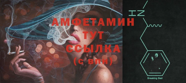 ECSTASY Лагань