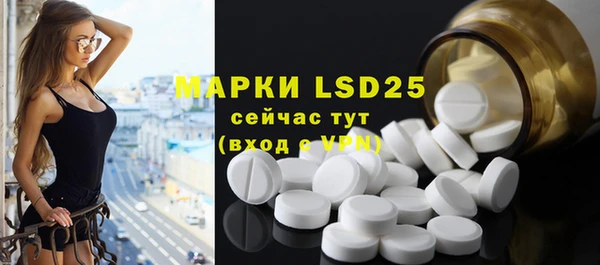 ECSTASY Лагань