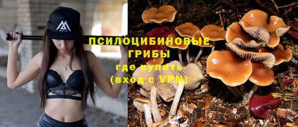 гашиш Ладушкин