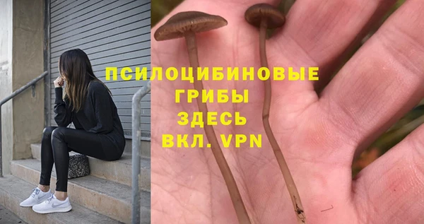 MDMA Premium VHQ Лабытнанги